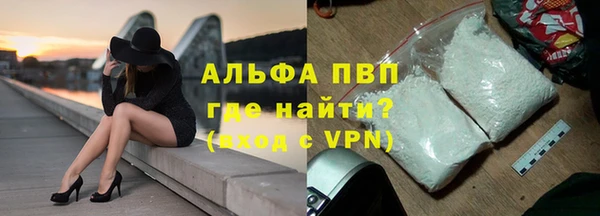 амф Корсаков