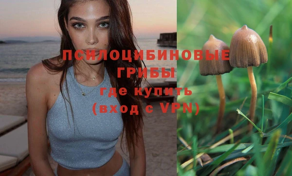 каннабис Кодинск
