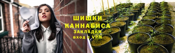 герыч Козельск